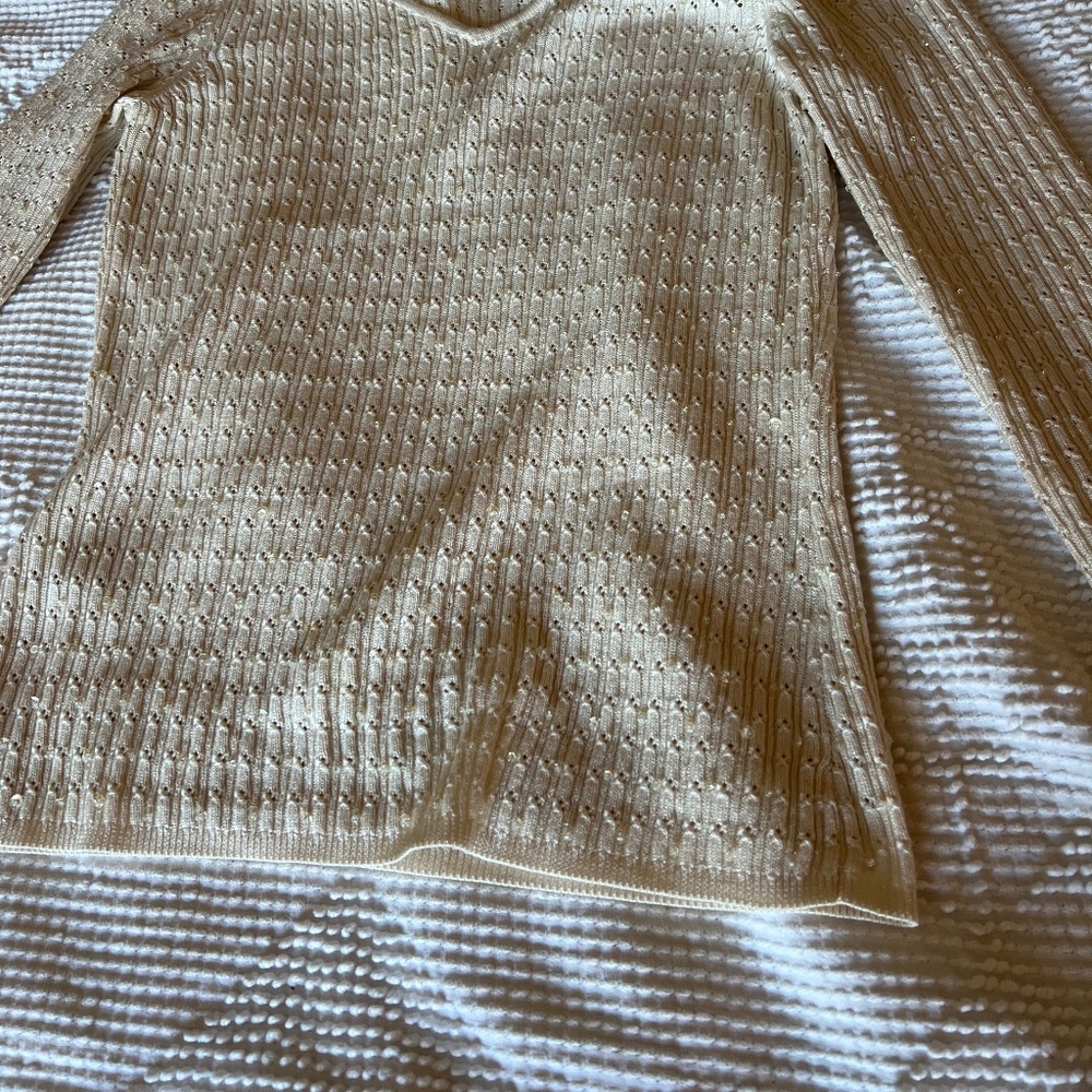 Ivory  Sequinned Sweater